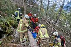 IMG-20251005-WA0041