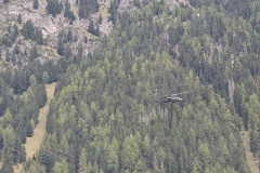 PXL_20251004_094009702