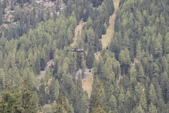 PXL_20251004_094015192