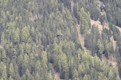 PXL_20251004_094018074